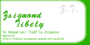 zsigmond tibely business card